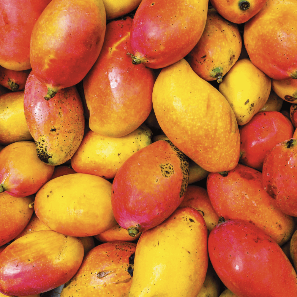 Mango R Mangoes (6/7/8/) - Cape Fresh Harvest